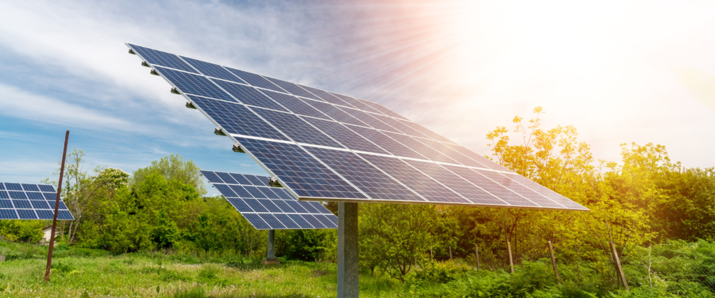 Jak wygląda dzierżawa gruntów rolnych pod budowę farmy fotowoltaicznej