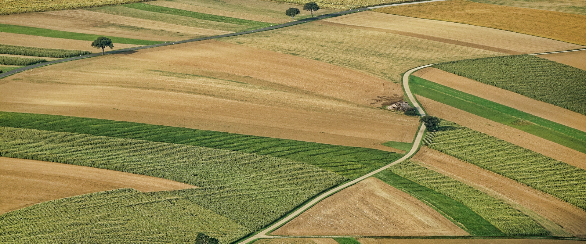 Umowa na dzierżawę działki pod farmę PV | Kaucja w umowach dzierżawy gruntu?